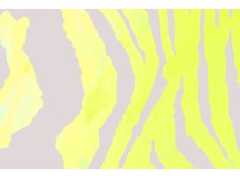 Wzór do druku ST 1234 N skala D