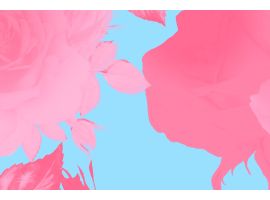 Wzór do druku ST 837 C1